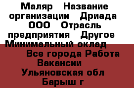 Маляр › Название организации ­ Дриада, ООО › Отрасль предприятия ­ Другое › Минимальный оклад ­ 18 000 - Все города Работа » Вакансии   . Ульяновская обл.,Барыш г.